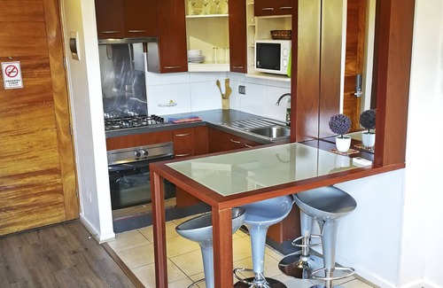 Bellas Artes Condominio | Santiago Town Suites
