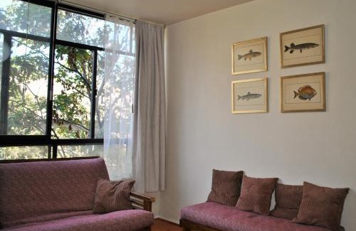 Bellas Artes Apartamento | Santo Domingo frente Bellas Artes