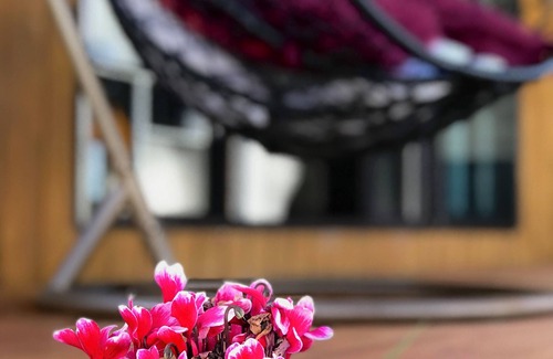 Penrose Apartamento | Santos Tiny House: Cozy Retreat under Auckland's Stars!