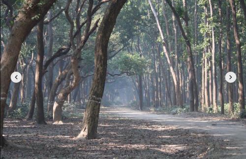 Puranpur Casa | Sapt Sarovar Homestay