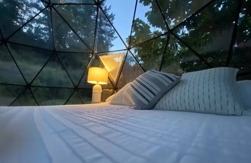 Saratoga Alquiler De RV | Saratoga Redwood Dome Tents