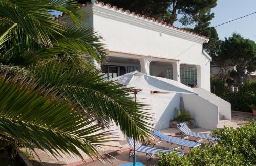 Alcanar Casa | Sargantana Blava