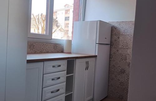 Arandelovac Apartamento | Sarina Garsonjera