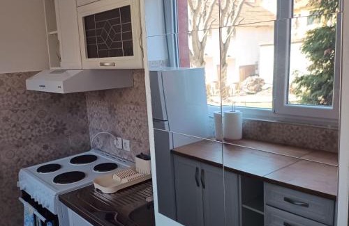 Arandelovac Apartamento | Sarina Garsonjera