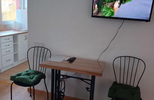 Arandelovac Apartamento | Sarina Garsonjera