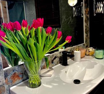 Cieszanow Apartamento | Sasaki Sauna i Bania
