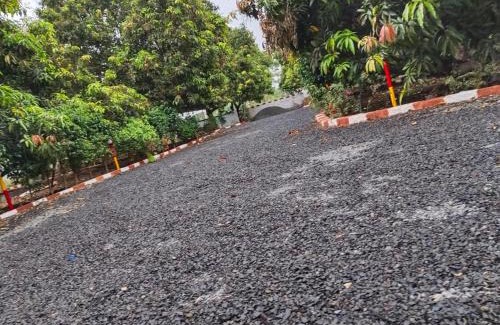 Sasan Gir Complejo | Sasan Gir Forest Darsh Resort