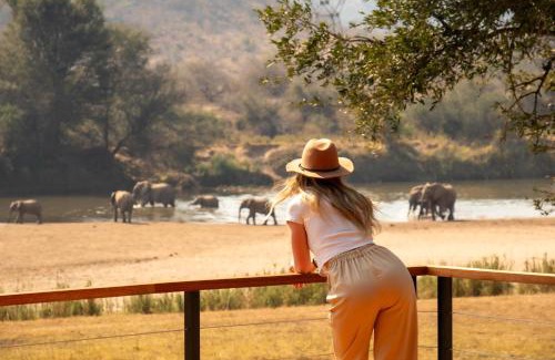 Ehlanzeni Cabina | Sashwa River of Stars Plant-Based Wellness Safari Lodge
