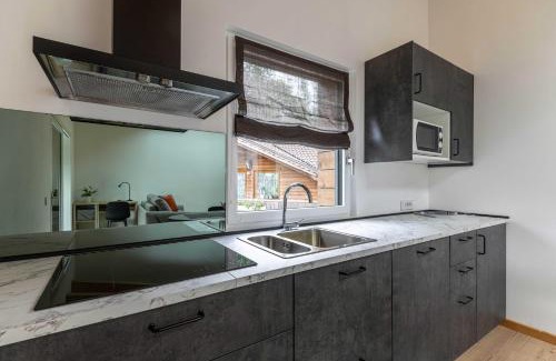 Transacqua Apartamento | Sass Maor - Caminetto