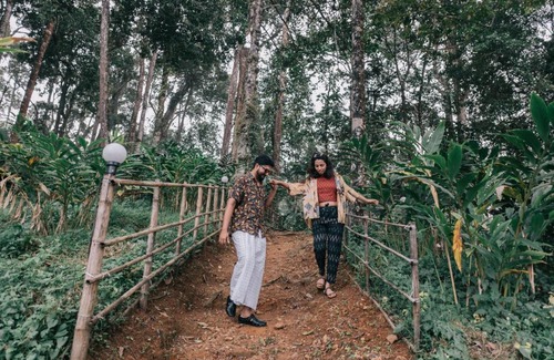 Devikolam Otro | Sathram Camp and Homestay, Mankulam, Munnar, Kerala
