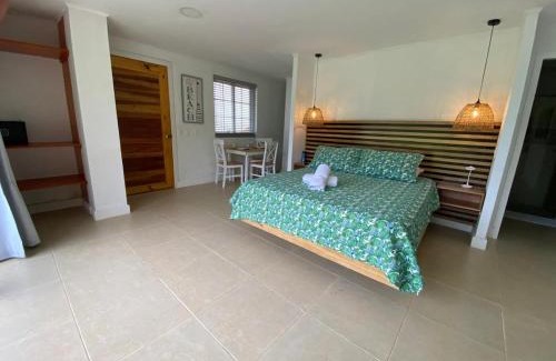 Punta Sur Apartamento | Savannah Inn Studio 101