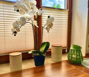 Sohland Apartamento | Savor Appartement Bergblick für 6 Personen