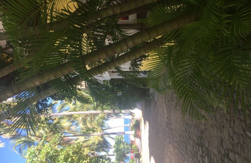 North End Casa | SAYULITA CASA GUITRON