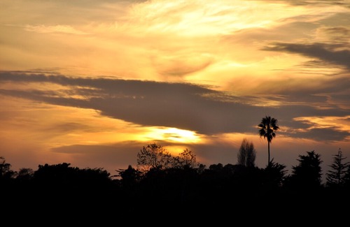 Toro Canyon Condominio | Sb Polo and Racquet Club in Carpinteria