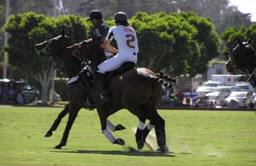 Toro Canyon Condominio | Sb Polo and Racquet Club in Carpinteria