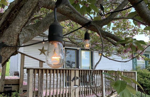 Harveys Lake Casa | Scenic cabin w/ lakeview & swim