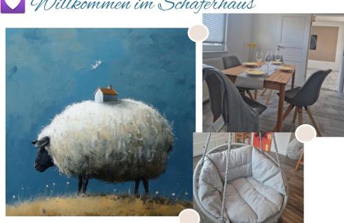 Stadtmitte Casa | Schäferhaus