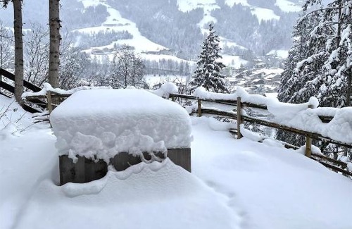 Hopfgarten im Brixental Casa | Schönbacher Hof