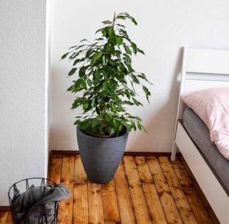 Rhein-Erft-Kreis District Apartamento | Schöne Dachgeschosswohnung nahe Köln