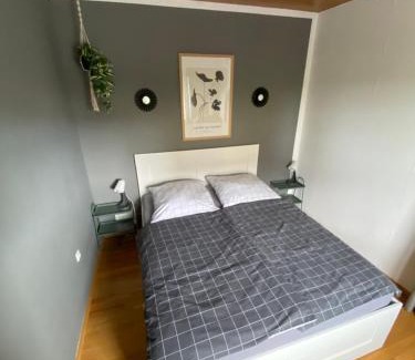 Mainz-Bingen Apartamento | Schöne zentrale 2 Zimmer Wohnung