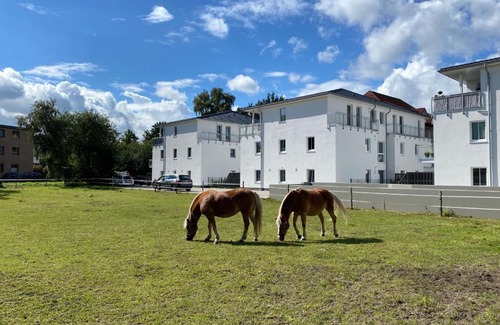 Eversten Apartamento | Schöner wohnen im Herzen Oldenburgs