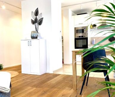 Mainz-Bingen Apartamento | Schickes Loft zentral in Eltville mit kostenlosem Parkplatz