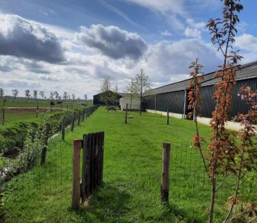 Municipality of Westerwolde Chalet De Esquí | Schier Stee