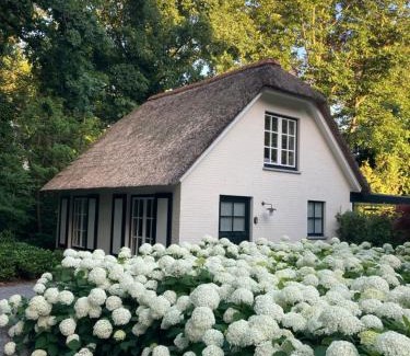 Schilde Casa | Schilde Cottage