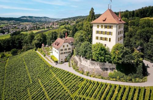 Gelfingen Apartamento | Schloss Heidegg