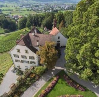 Gelfingen Apartamento | Schloss Heidegg