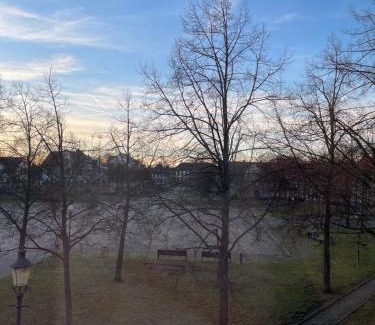 Oranienbaum Apartamento | Schlossblick