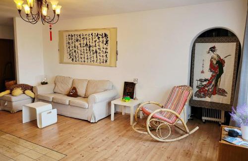 Schonach im Schwarzwald Apartamento | Schonach 2units, mountain-Top in forest, free parking, new kitchen, renovated bathroom, high-speed internet