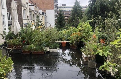 Etterbeek Casa | Apartamento Schuman cerca de la Comisión Europea