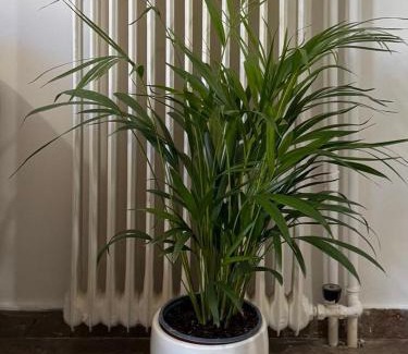 Stylida Apartamento | sea view