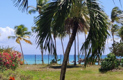 Pointe de la verdure Casa | Sea view studio 30m from the beach. A real island fragrance
