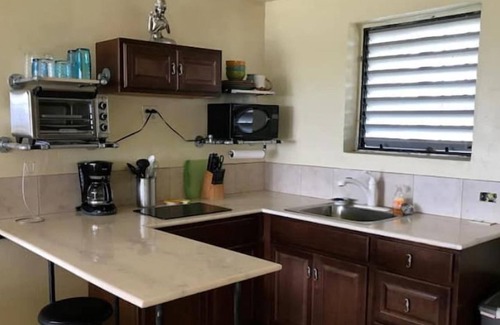 Frederiksted Southeast Casa | Sea view at the beach
