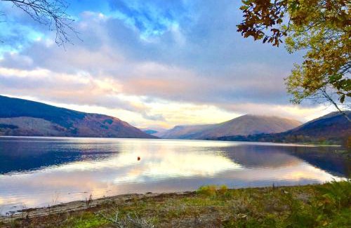 Cairndow Casa | Seal Cove Cabin - Luxury Glamping