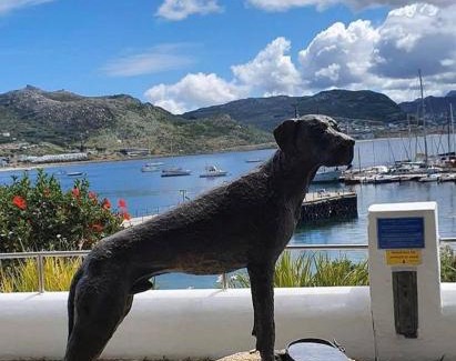 Simon's Town Casa | Seascape Cottage