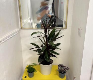 Dun Laoghaire Apartamento | Seaside Comfort Apt