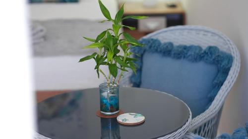 Clifton Beach Apartamento | SeaTurtle