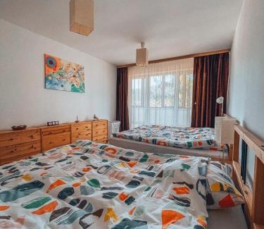 Busteni Apartamento | Sebiana