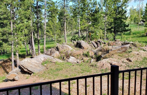 Custer Cabina | Secluded Black Hills Studio Cabin Near Crazy Horse and Custer State Park