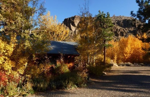 Alpine Village Cabaña | Cabaña escondida aislada por Mt Stream cerca de senderismo, ciclismo, esquí, aguas termales