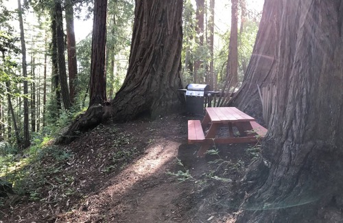Los Gatos Alquiler De RV | Secluded Small Rustic Camping Cabin In the Redwoods in 45acre Mountain Retreat