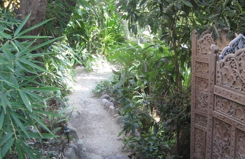 Oak Park Cabaña | Escapada a la cima de un árbol aislado