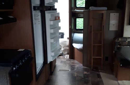 Terra Nova Casa | Secluded wooded getaway steps from the salt water