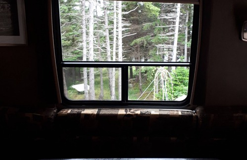 Terra Nova Casa | Secluded wooded getaway steps from the salt water