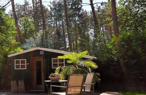 Municipality of Rijssen-Holten Casa | Secret Wellness | Boszicht