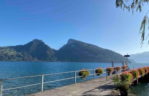 Faulensee Apartamento | See und Berge Garden