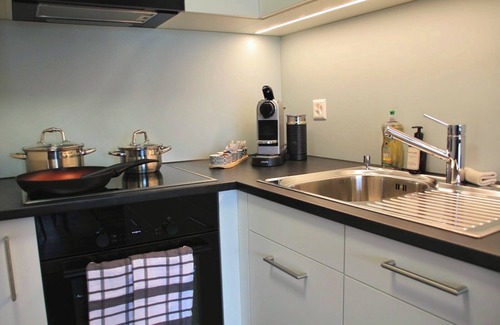 Faulensee Apartamento | Seeblick 20min nach Interlaken